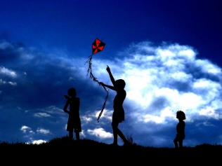 Câmara Municipal de Nova Iguaçu aprova criação de 'pipódromo' na cidade