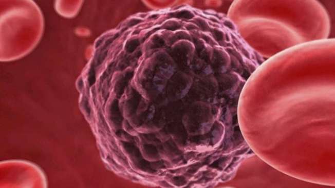 Células cancerígenas - câncer - saúde