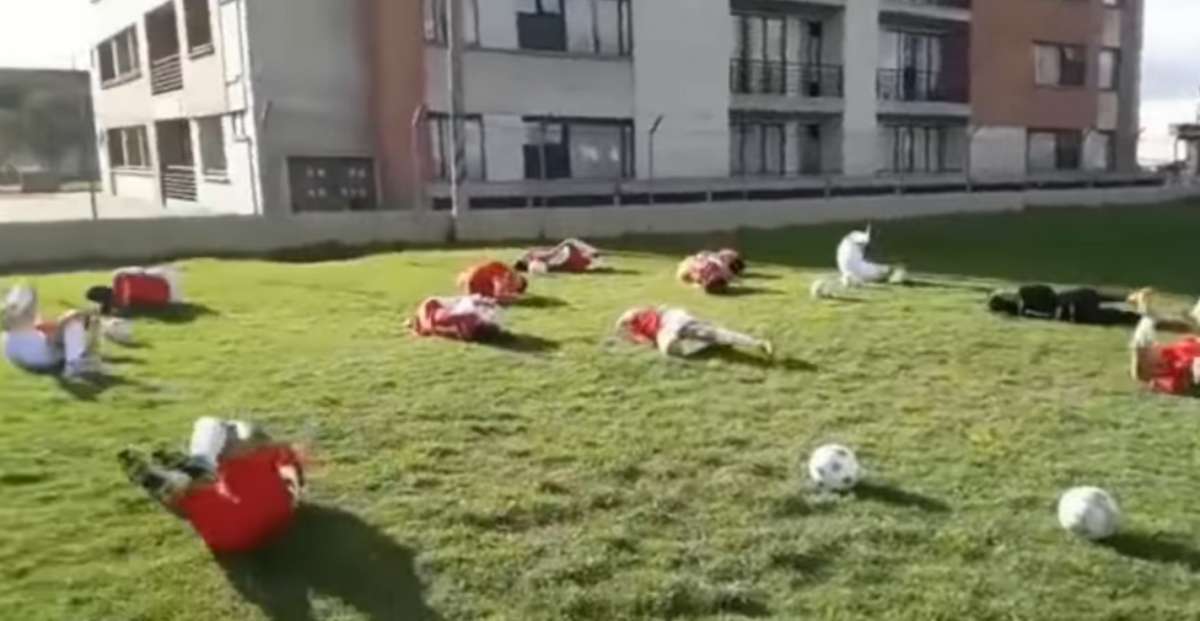 Brazil's forward Neymar reacts on the ground after being fouled during the Russia 2018 World Cup round of 16 football match between Brazil and Mexico at the Samara Arena in Samara on July 2, 2018. / AFP PHOTO / Kirill KUDRYAVTSEV / RESTRICTED TO EDITORIAL USE - NO MOBILE PUSH ALERTS/DOWNLOADS