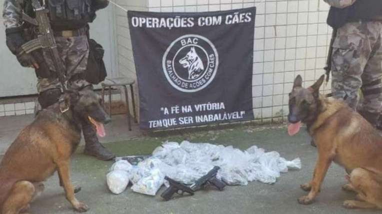 BAC apreende pistolas, trouxinhas de maconha e papelotes de cocaína