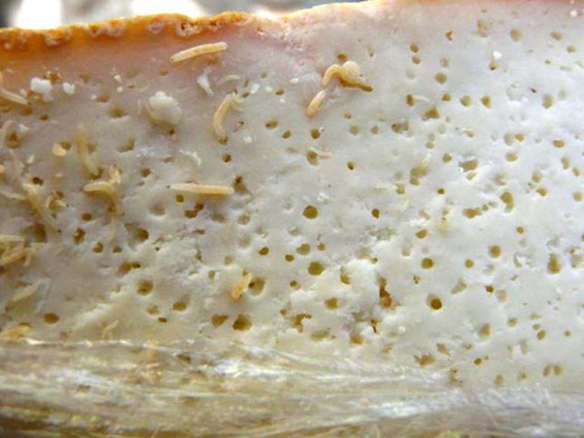 Italianos usam larvas de mosca para deixar queijo mais gostoso MH