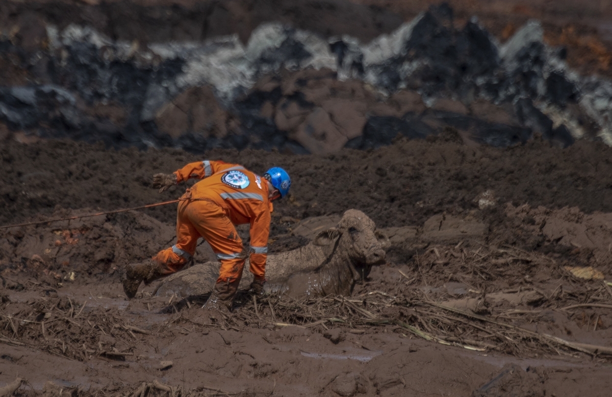 Barragem da Vale se rompeu na &uacute;ltima sexta-feira, em Brumadinho