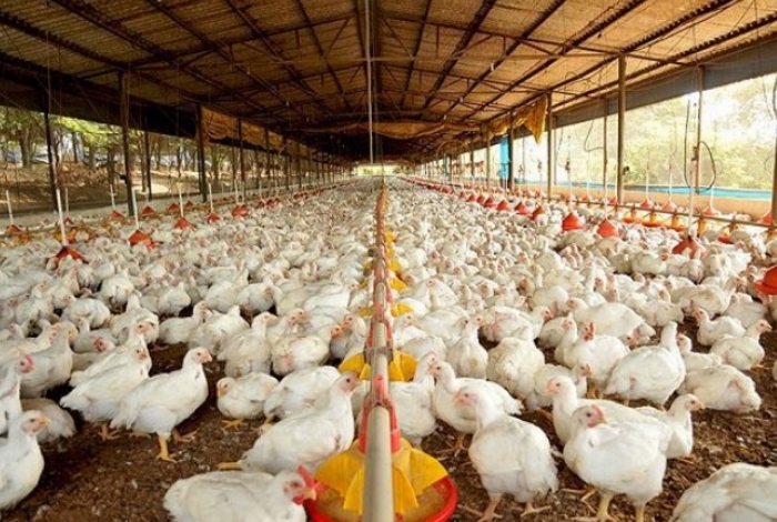 Não duvide da força da união