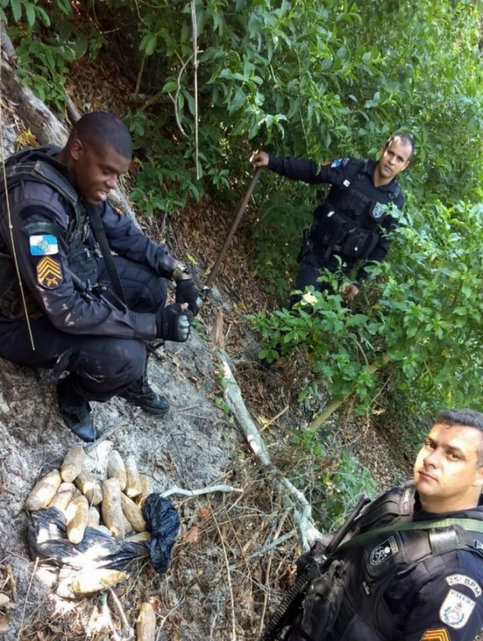 Droga apreendida na mata