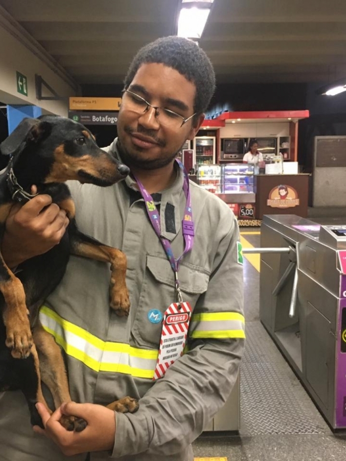 C&atilde;ozinho ganhou um dono