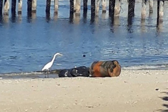 Partes de corpo humano são encontradas na Praia da Bica