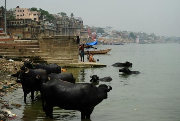 Ilusionista desapareceu após pular acorrentado no rio Ganges