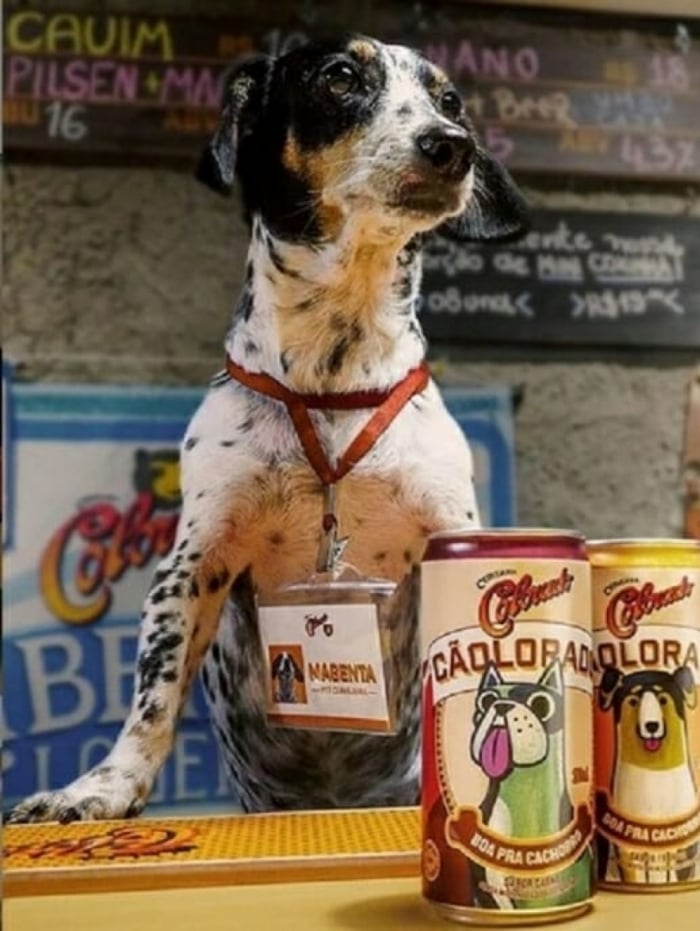 Bebida não tem álcool e é rica em vitaminas e fibras 