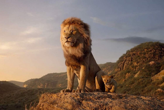 Filme 'O Rei Leão' é exibido no Xvideos