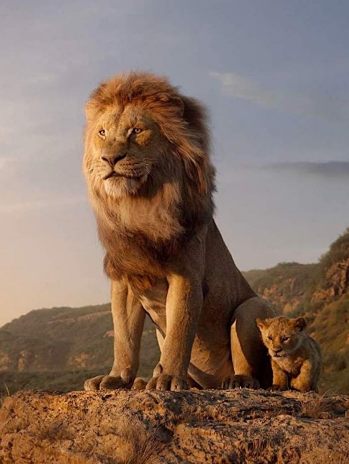 Filme 'O Rei Le&atilde;o' &eacute; exibido no Xvideos