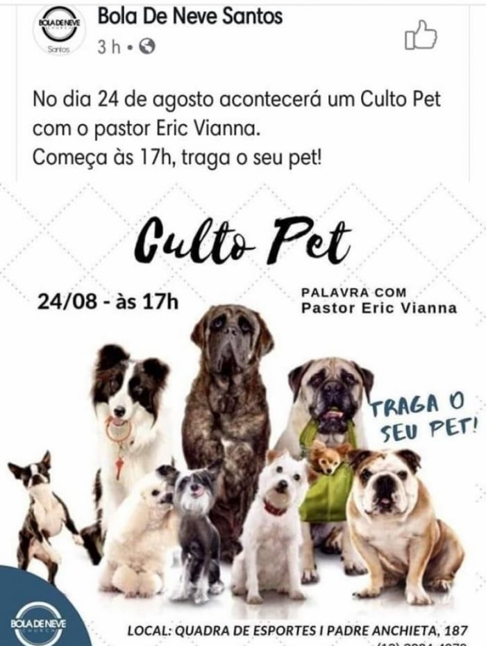 Iniciativa &eacute; para apoiar o lan&ccedil;amento de uma ONG de prote&ccedil;&atilde;o ao animal