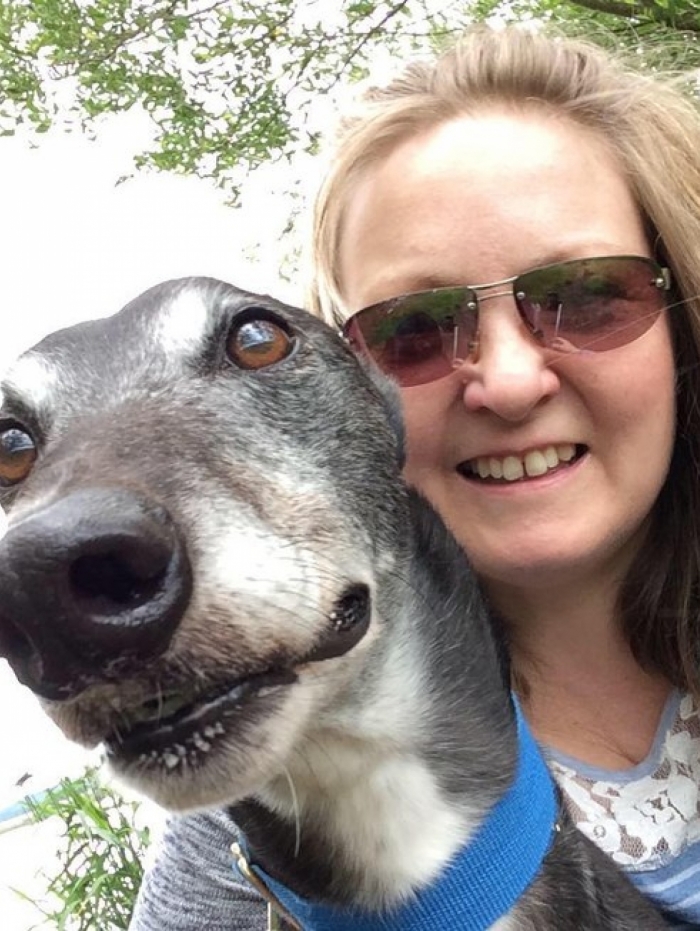 Cão salva vida da dona ao farejar tumor no seio dela