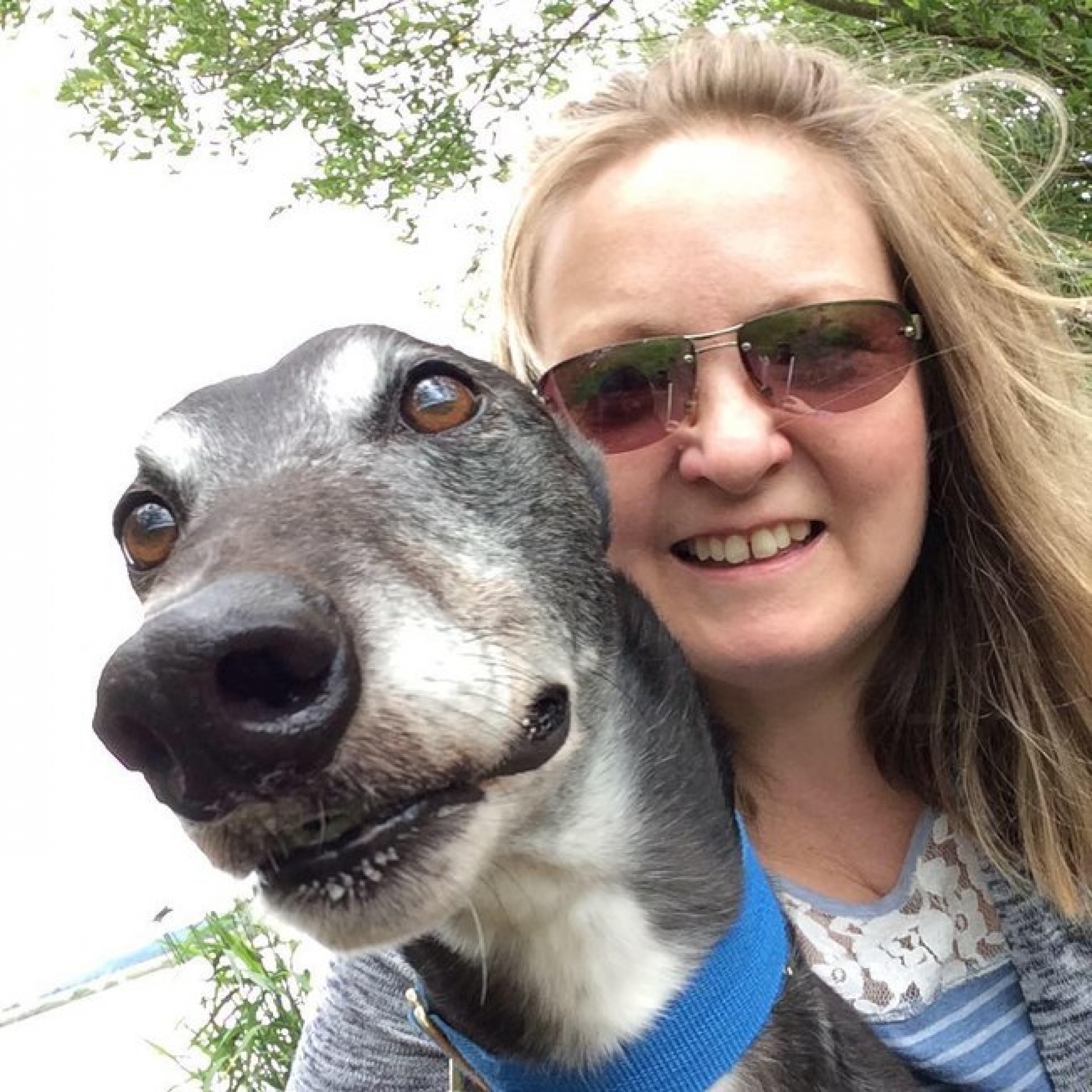 Cão salva vida da dona ao farejar tumor no seio dela