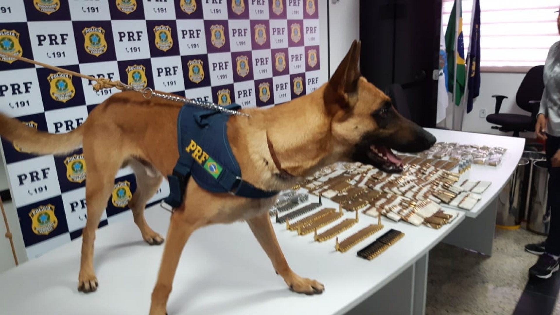O material foi localizado com ajuda do cão K9 Bud