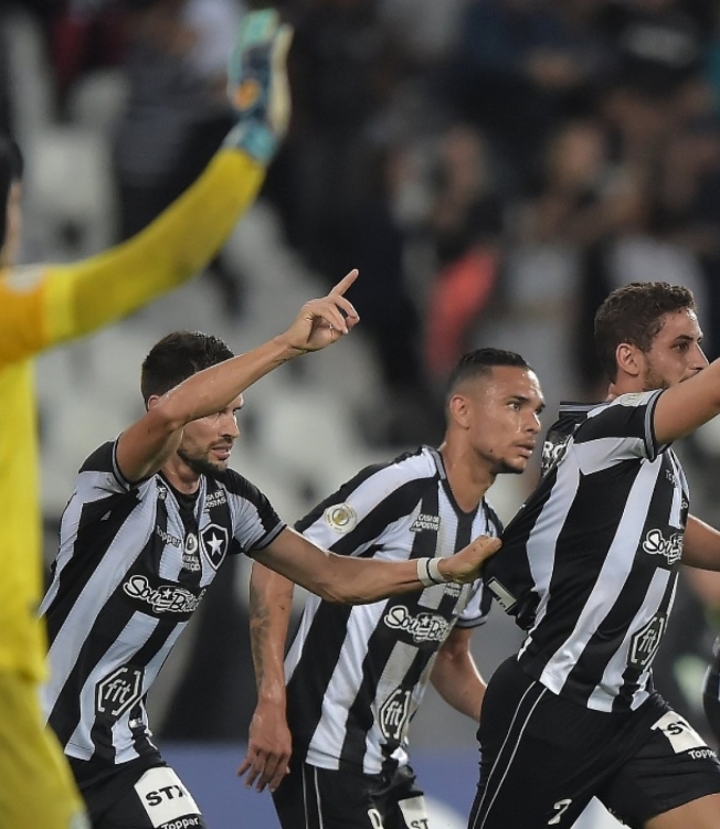 Os jogadores do Botafogo festejam o gol de Gabriel