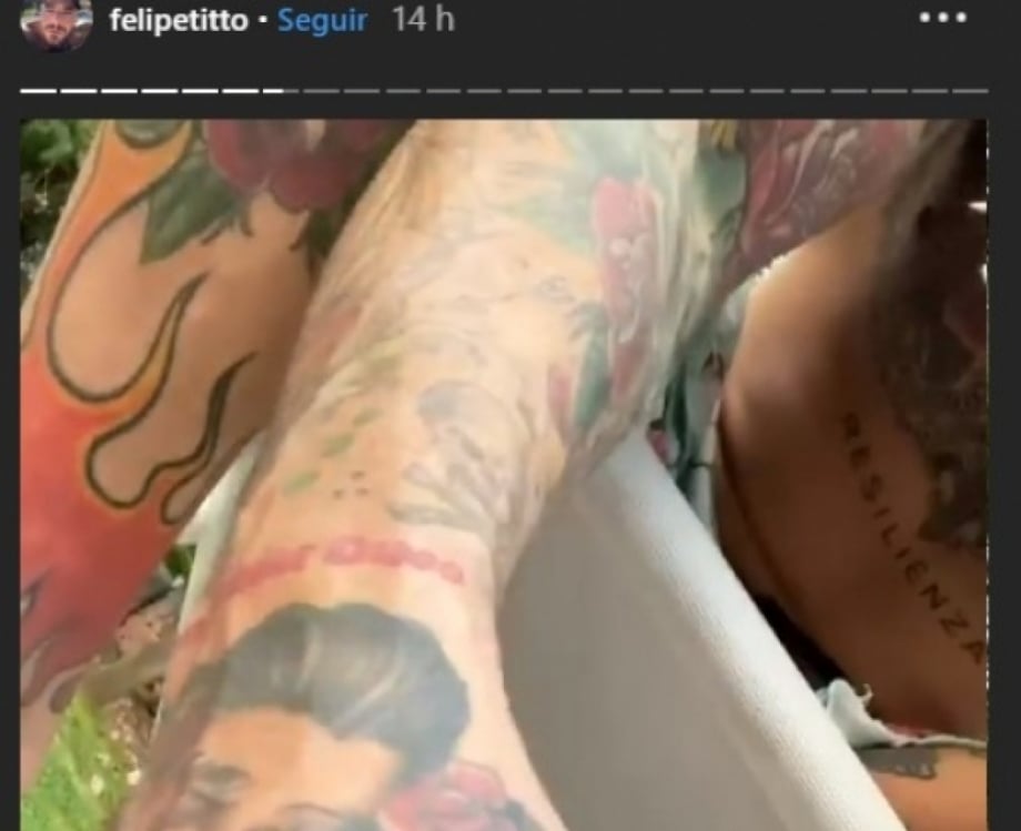 Felipe Titto leva mordida de seu cachorro no momento em que vai pular na piscina