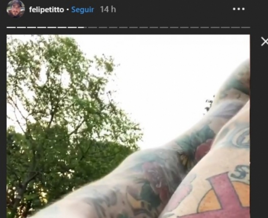 Felipe Titto leva mordida de seu cachorro no momento em que vai pular na piscina