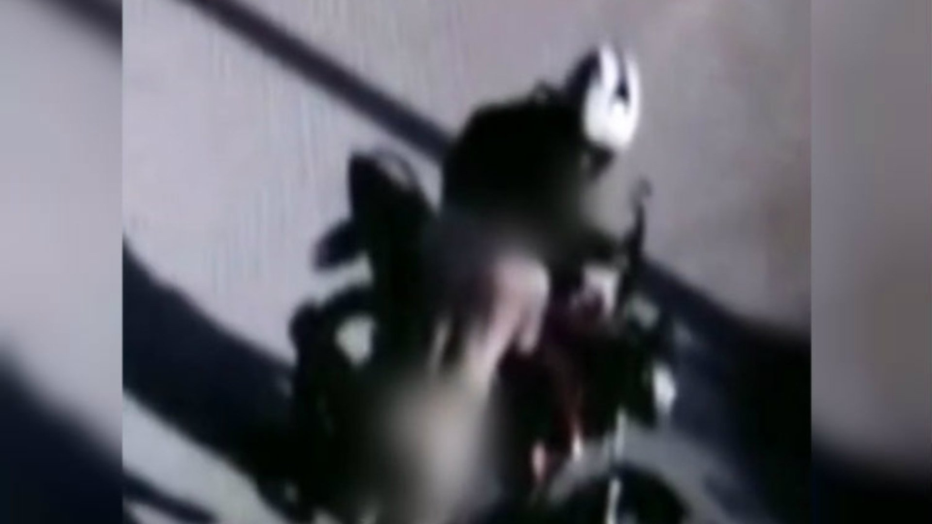 Motoboy foi assaltado e teve até mesmo roupas levadas