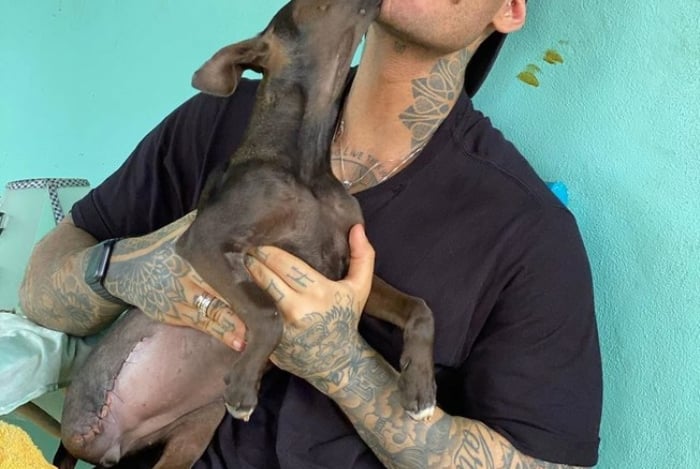 Lucas Lucco adota pet sem pata