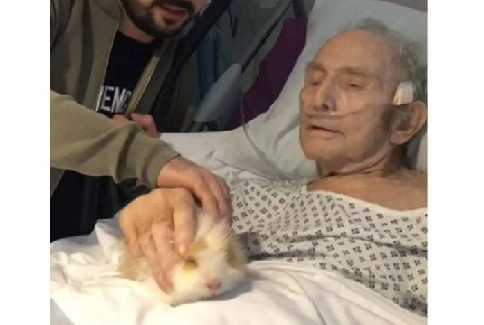 Frank recebeu a visita de seus porquinhos-da-índia no hospital
