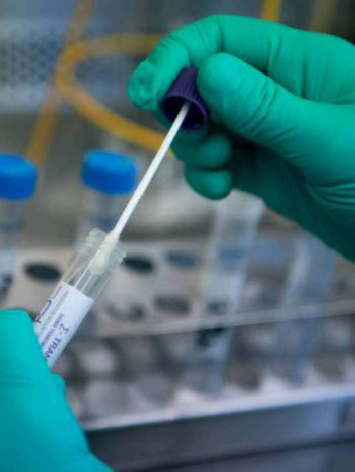 Empresa planeja maior testagem para agilizar o processo de comprova&ccedil;&atilde;o cient&iacute;fica
