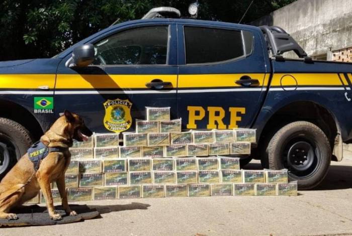 Cão farejador encontra 50 kg de cocaína na Dutra