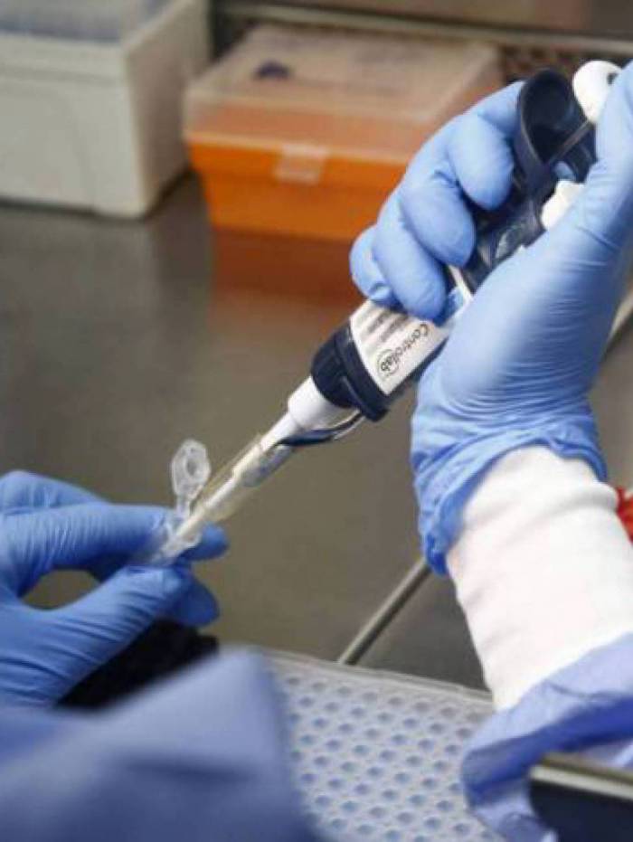 ANS obriga planos de sa&uacute;de a inclu&iacute;rem teste sorol&oacute;gico da covid-19
