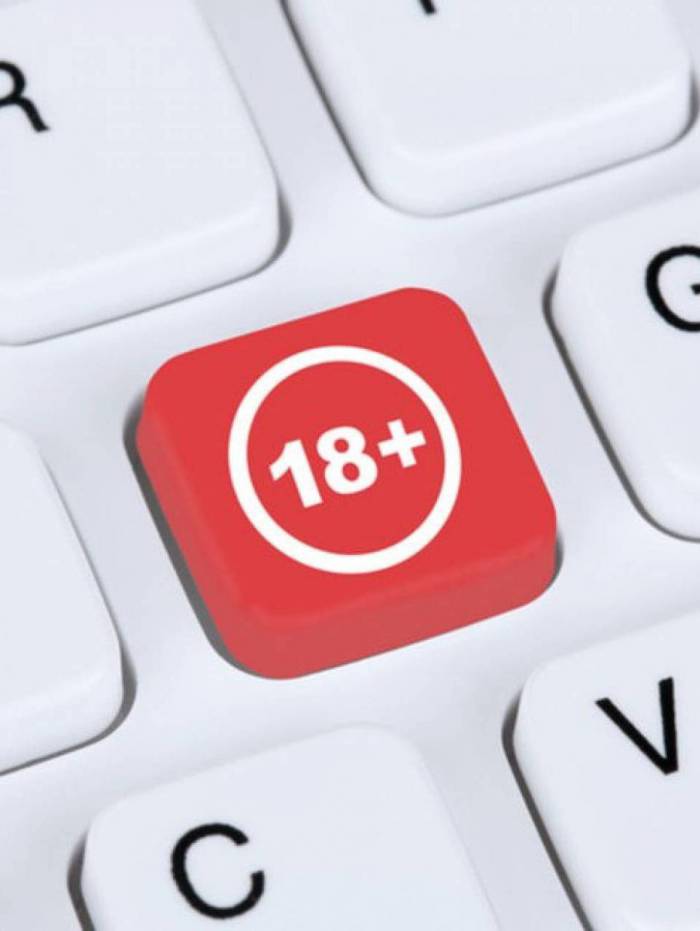 Cresce número de brasileiros que acessam conteúdos adultos durante o período de quarentena - Divulgação