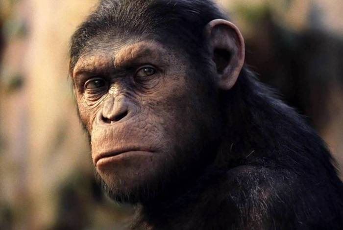 Planeta dos macacos - A Origem
