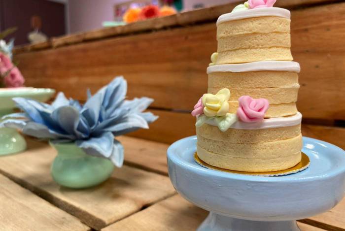 'Vida com Arte' comemora seis anos no ar na TV