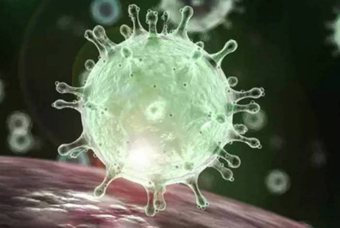 Imagem digitalizada do coronavírus