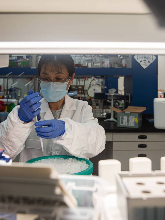 Anticorpos sint&eacute;ticos d&atilde;o esperan&ccedil;a