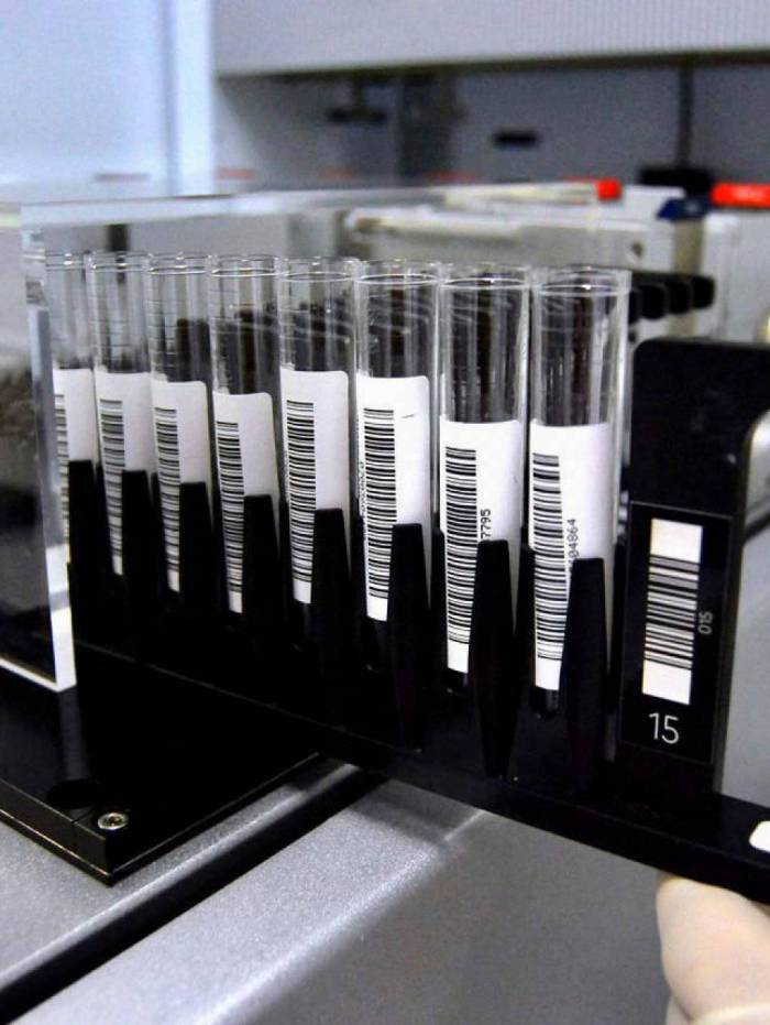 Hemorio fez pesquisa inédita