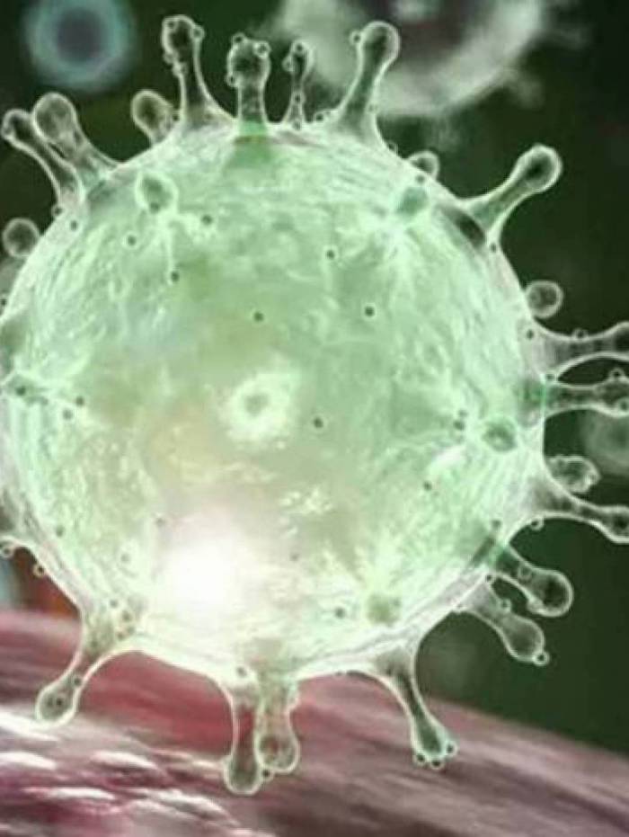 Imagem digitalizada do coronavírus 