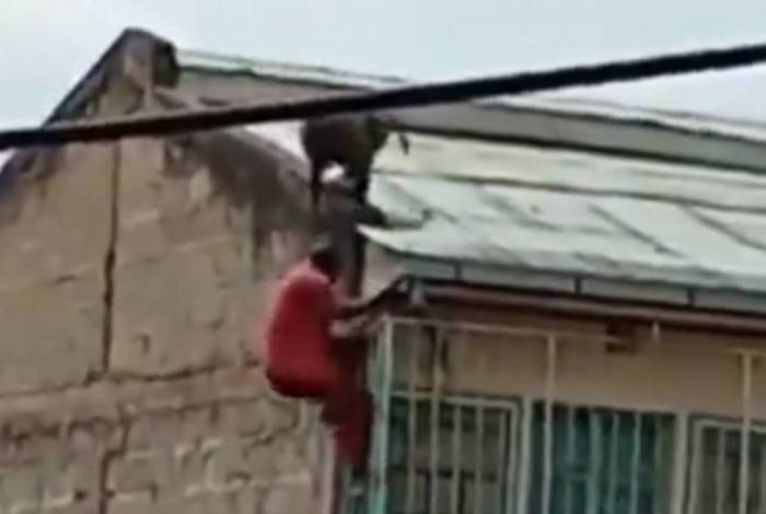 Homem cai de tlhado após ser empurrado por babuíno; veja o vídeo