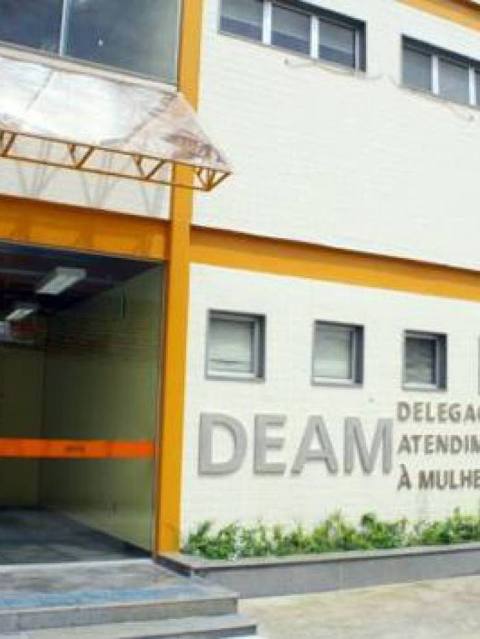 Delegacia Especializada de Atendimento &agrave; Mulher  (DEAM)