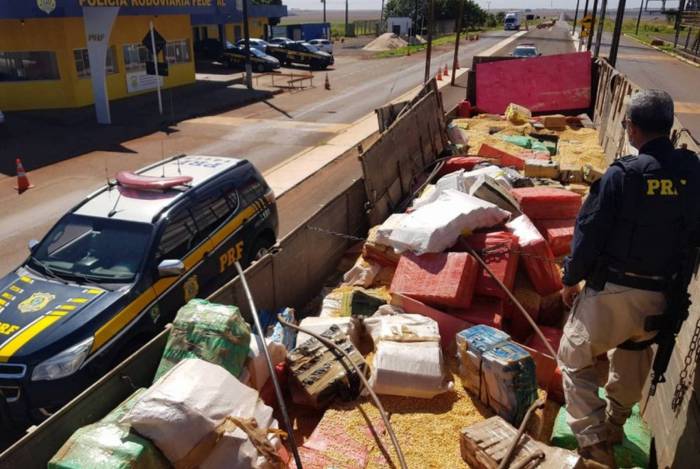 Maconha apreendida no Mato Grosso do Sul