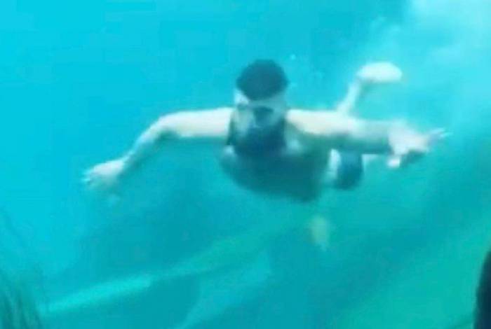 Homem invade aquário de zoológico e nada com peixes na Austrália; vídeo
