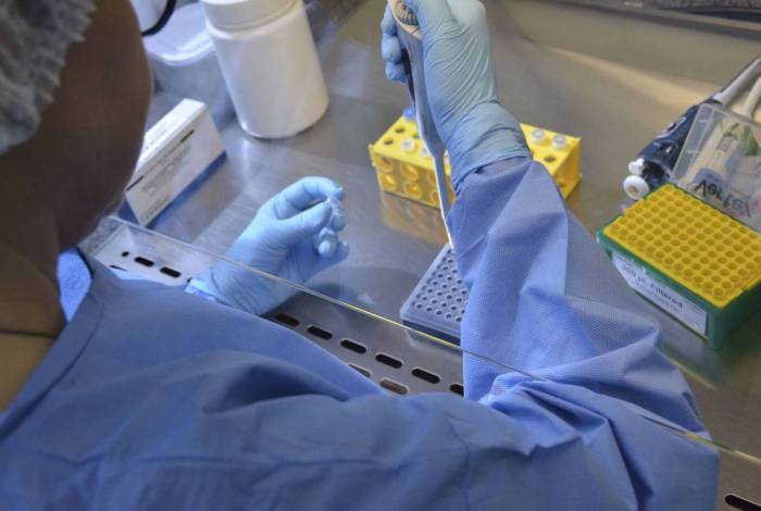 Brasília inicia testes com vacina chinesa para a covid-19
