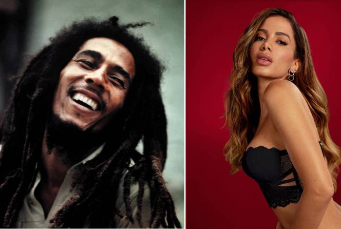Bob Marley e Anitta são alguns dos nomes mais comuns para cachorros