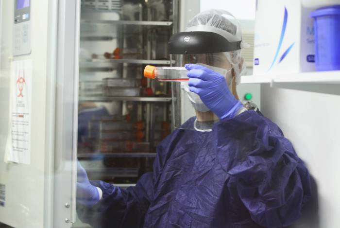 Laboratório de Virologia Molecular da UFRJ analisa sequenciamento genético do novo coronavírus