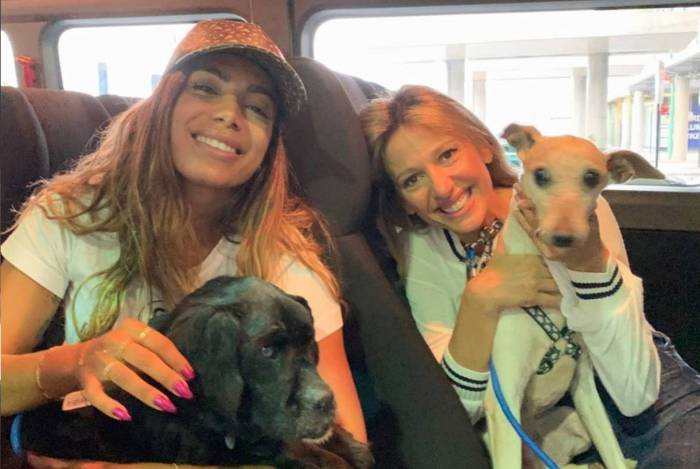 Anitta adota novos cachorrinhos