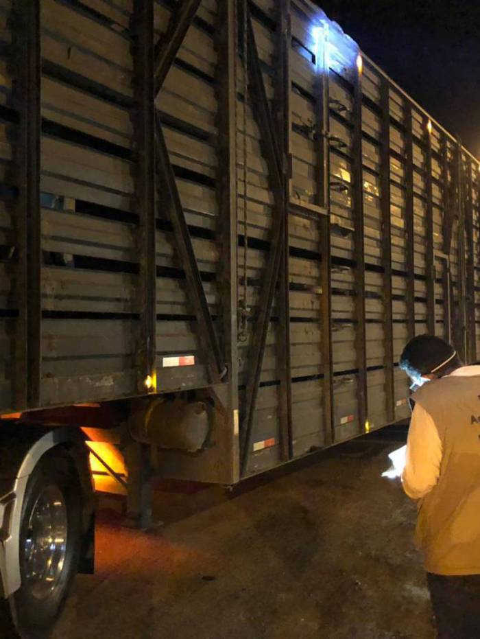 Ação policial que apreendeu caminhão fazendo transporte ilegal de carne