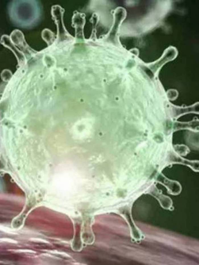 Covid-19, boletim atualizado nesta quinta-feira, dia 17