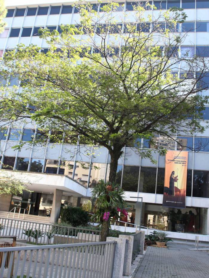 Col&eacute;gio Santo In&aacute;cio