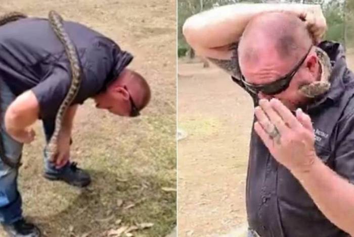 O homem estava manipulando a cobra durante live no Facebook e acabou sendo picado