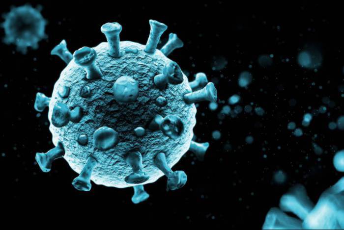 Brasil registra média diária de 505 mortes por coronavírus