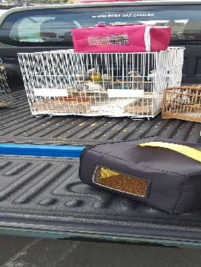 Parte das apreensões feitas na feira de Duque de Caxias