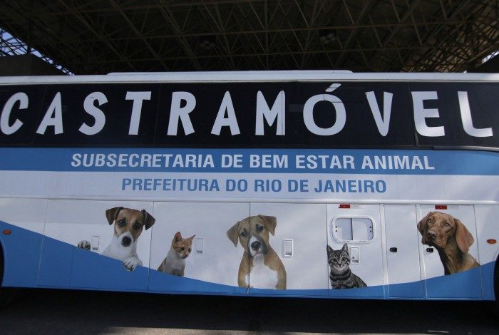 Prefeitura do Rio leva ônibus castramóvel a Paquetá para esterilização gratuita de cães e gatos
