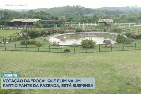 Ro&ccedil;a da semana est&aacute; suspensa